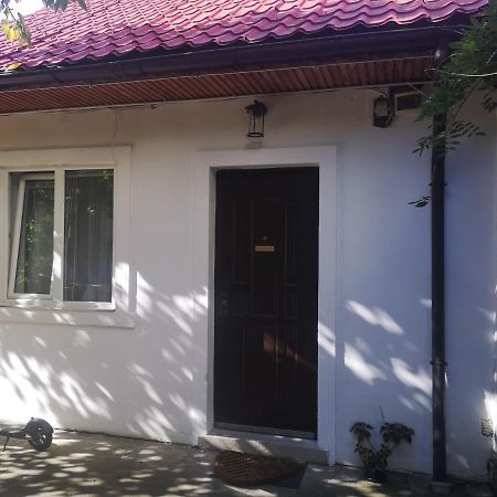 Casa Miron Unirii 3Strada Matei Corvin Apartament Timisoara Bagian luar foto